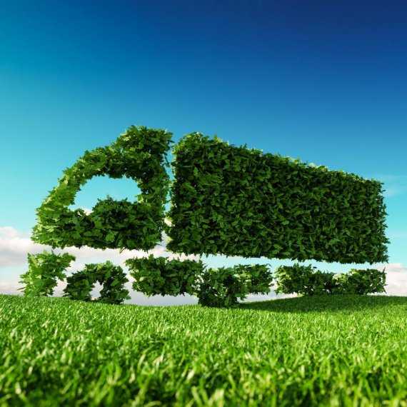 Net Zero North: Sustainable Hydrogen Economy