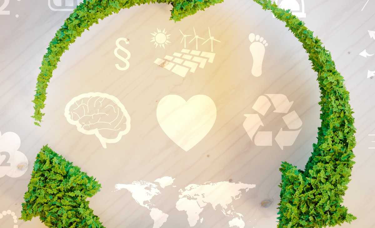 circular economy N8 net zero north