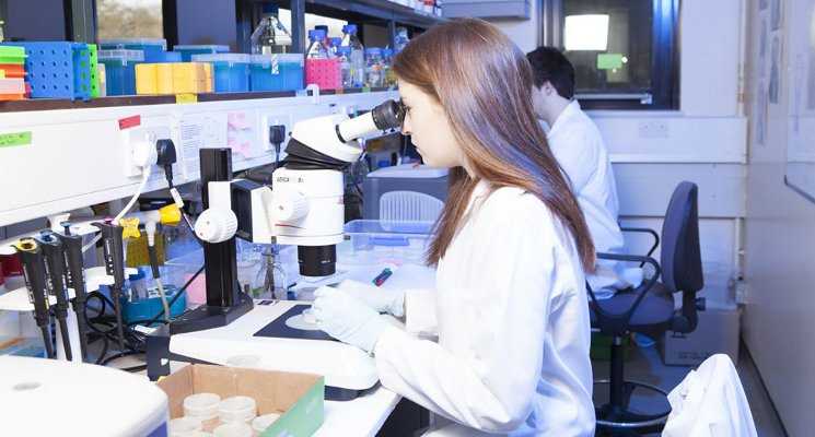 interdisciplinary research