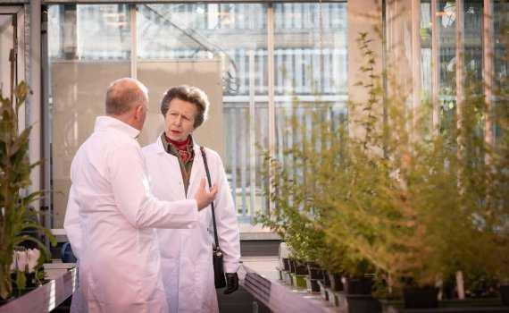 princess anne bioyork launch