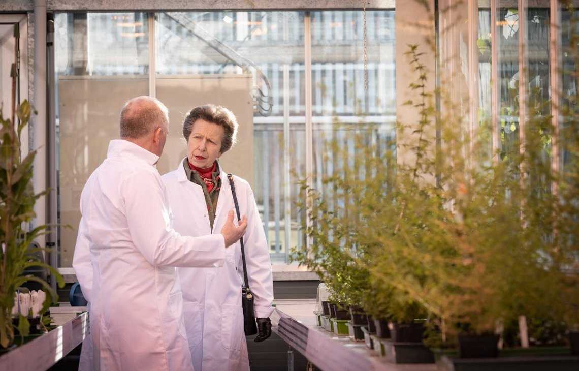 princess anne bioyork launch