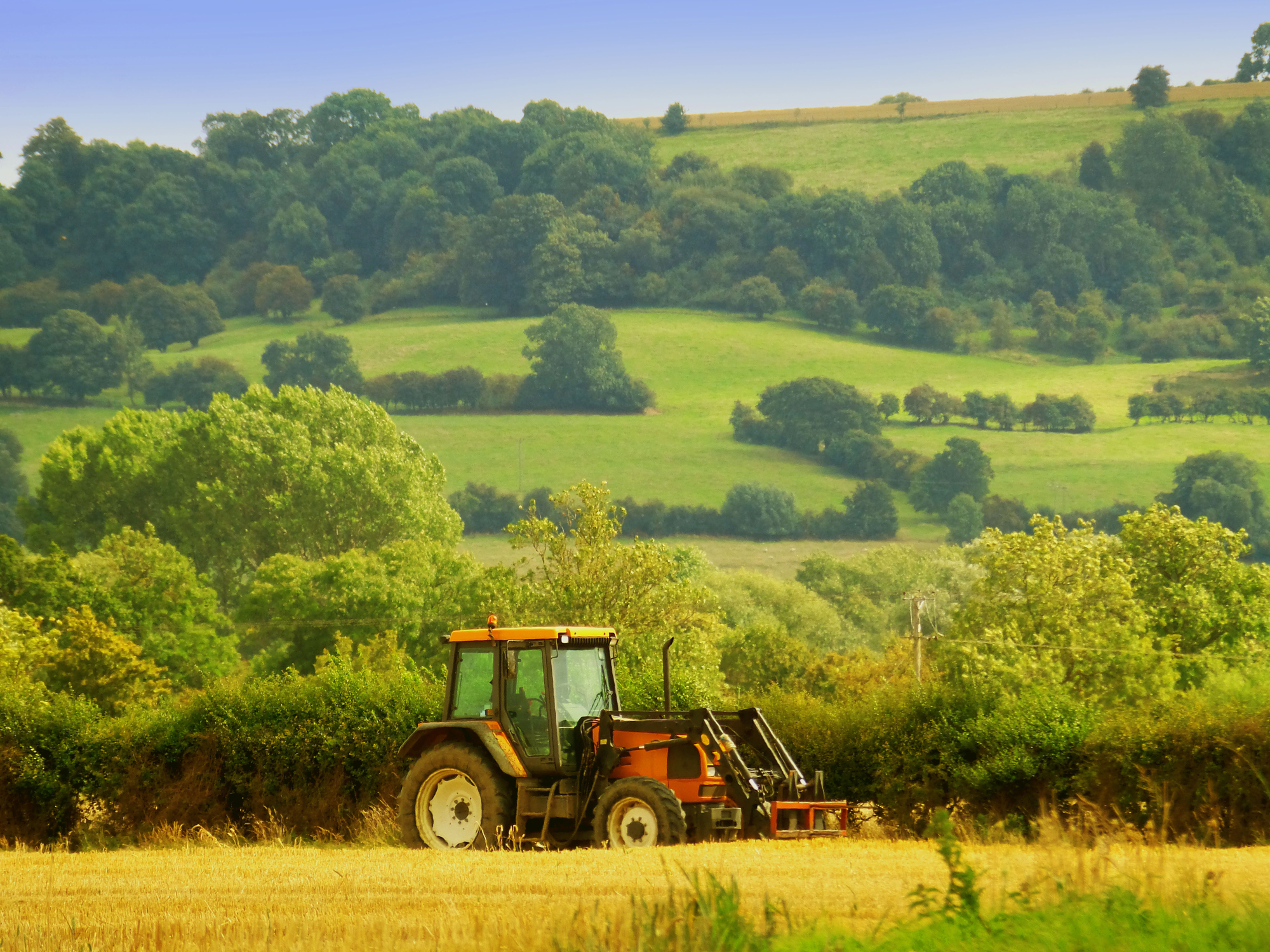 AgriFood food security